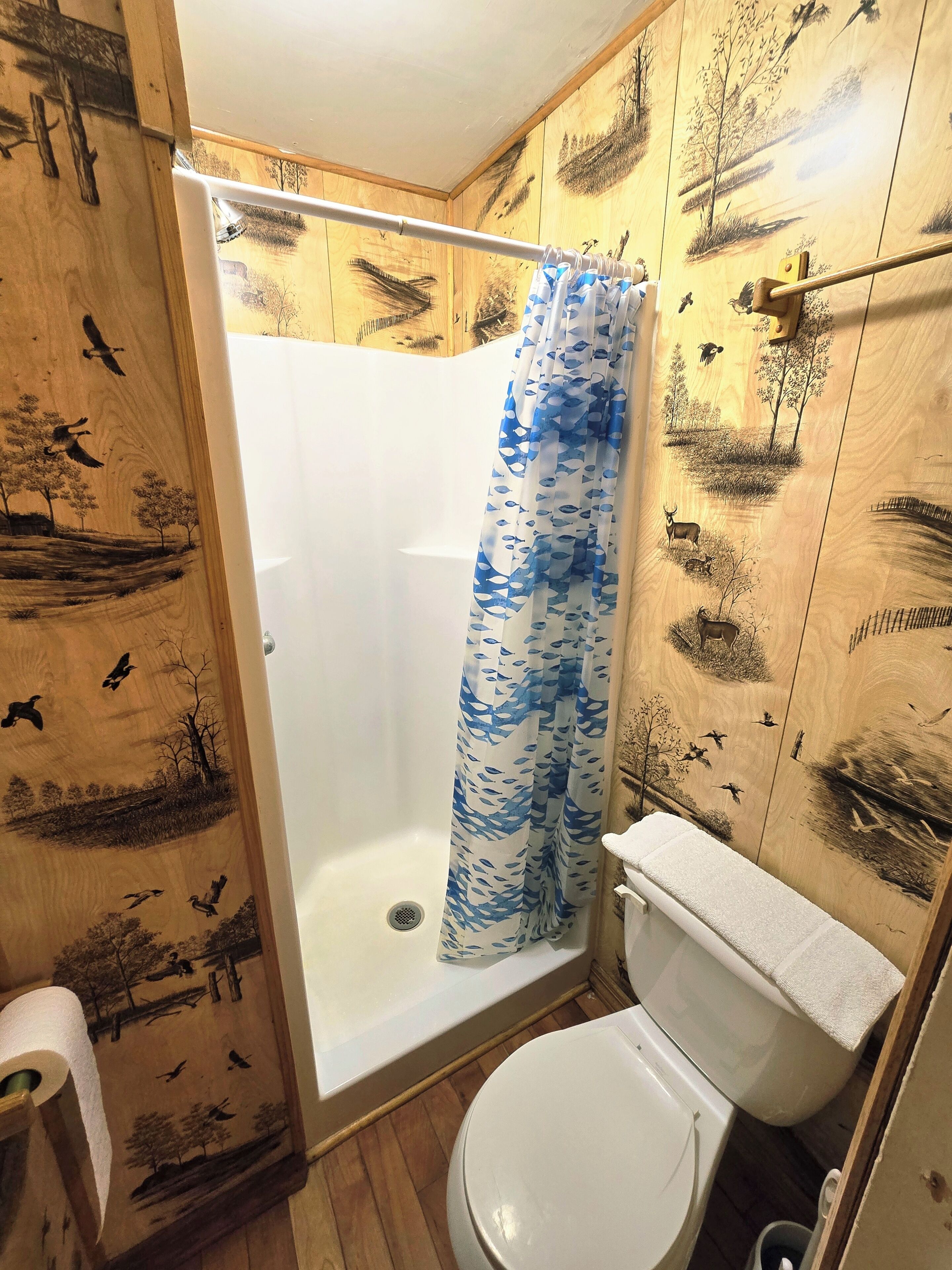 Dusche, Handtücher, Toilettenpapier
