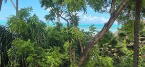 Miscellaneous - Twende Villa on Beach (Zanzibar)