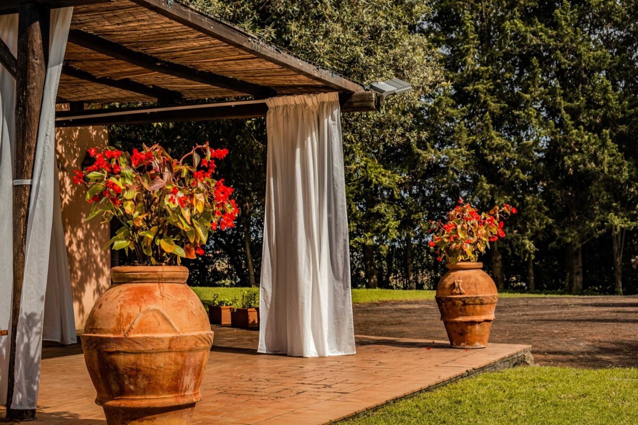 Ett takförsett utomhusområde med terrakottafärgade blomkrukor som innehåller röda blommor, ett vitt draperi och en träpergola.