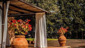 Ett takförsett utomhusområde med terrakottafärgade blomkrukor som innehåller röda blommor, ett vitt draperi och en träpergola.