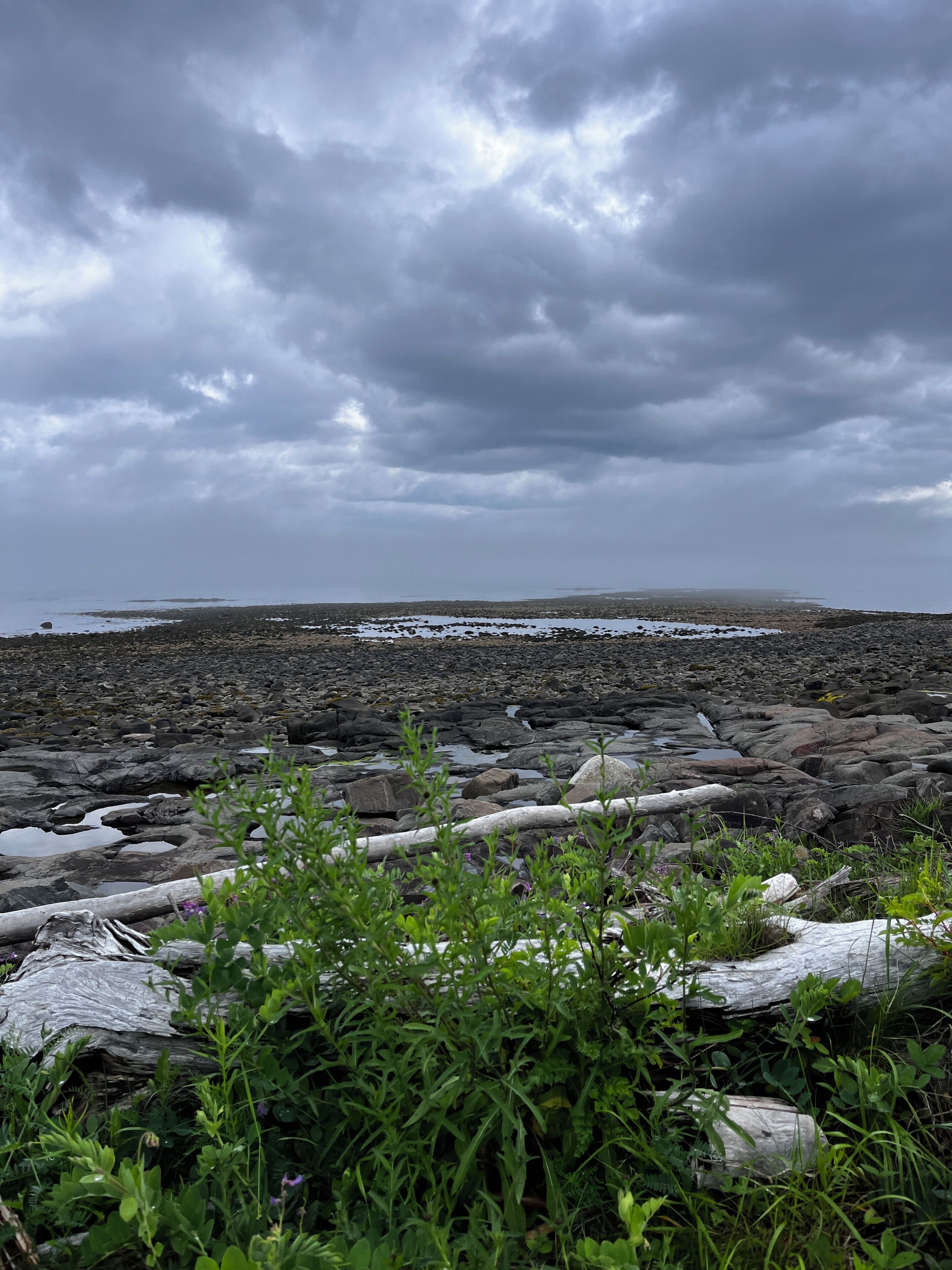 A rocky shoreline with overcast skies.
