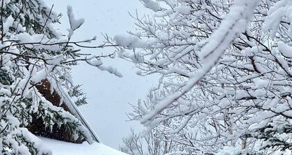 Private Log Home nestled right on the world famous Bay of Fundy
