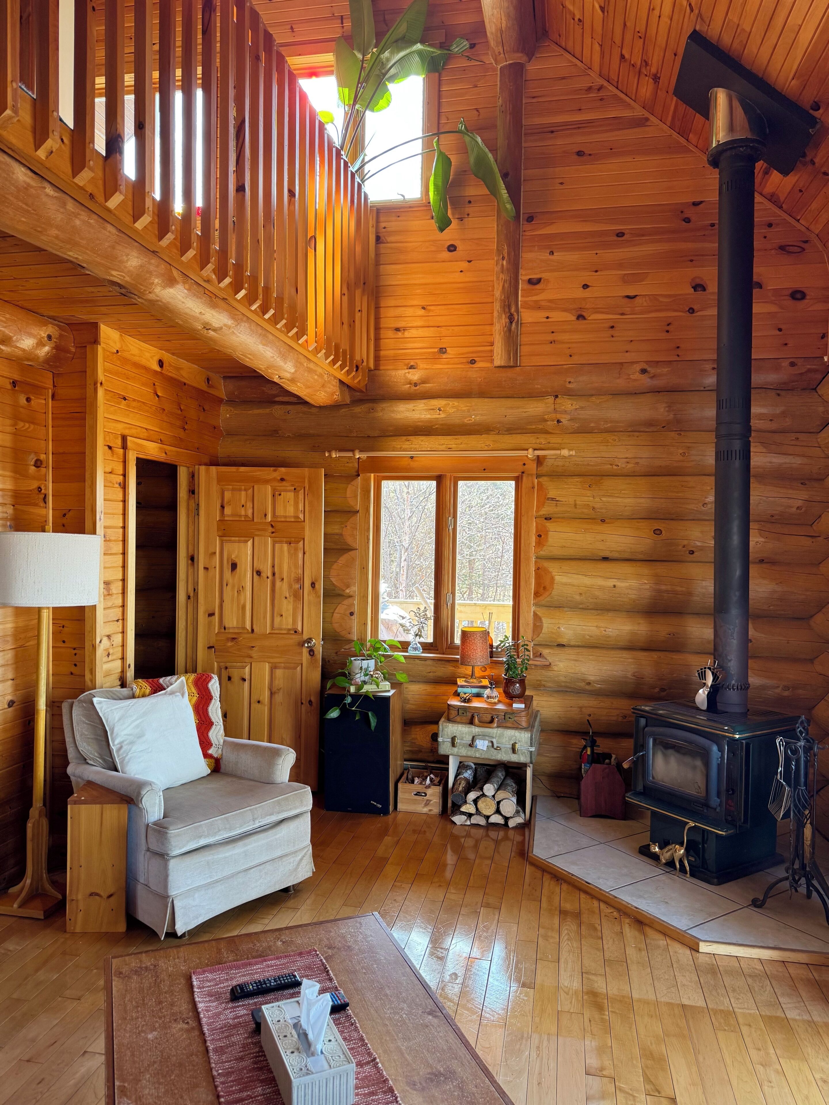 Smart TV, fireplace, books, stereo