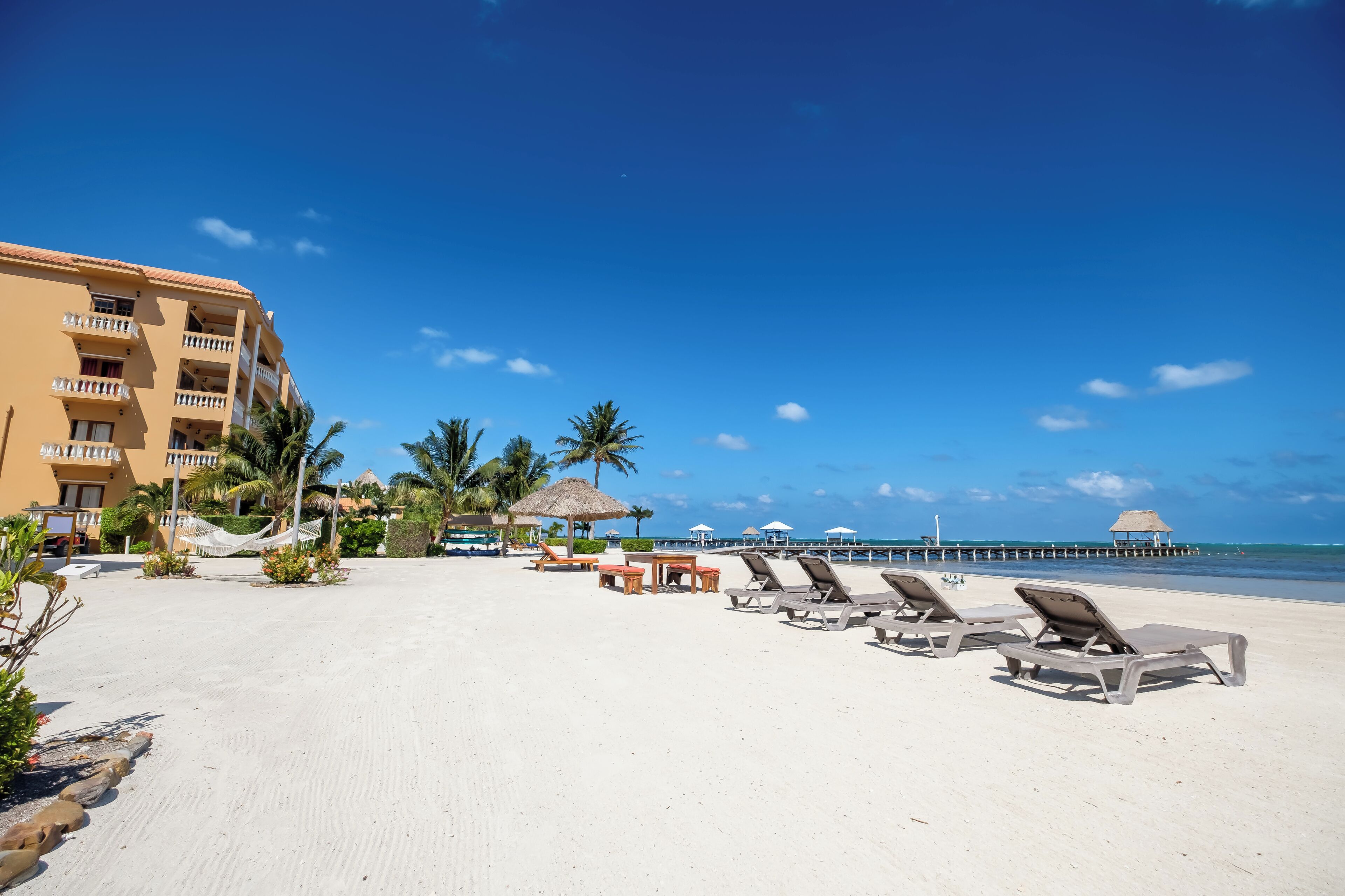 A beach with lounge chairs, a palm tree, and a building with balconies.