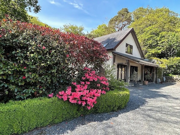 A house with a gravel driveway, surrounded by well-maintained hedges and flowering bushes. - Mawddach View in Snowdonia with Hot tub, pet friendly & great location (Barmouth)