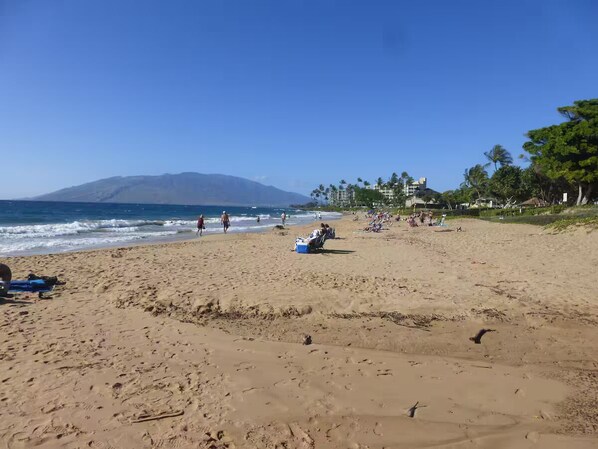 Beach - Adorable 1-bedroom apartment with AC in sunny Kihei (Kihei)