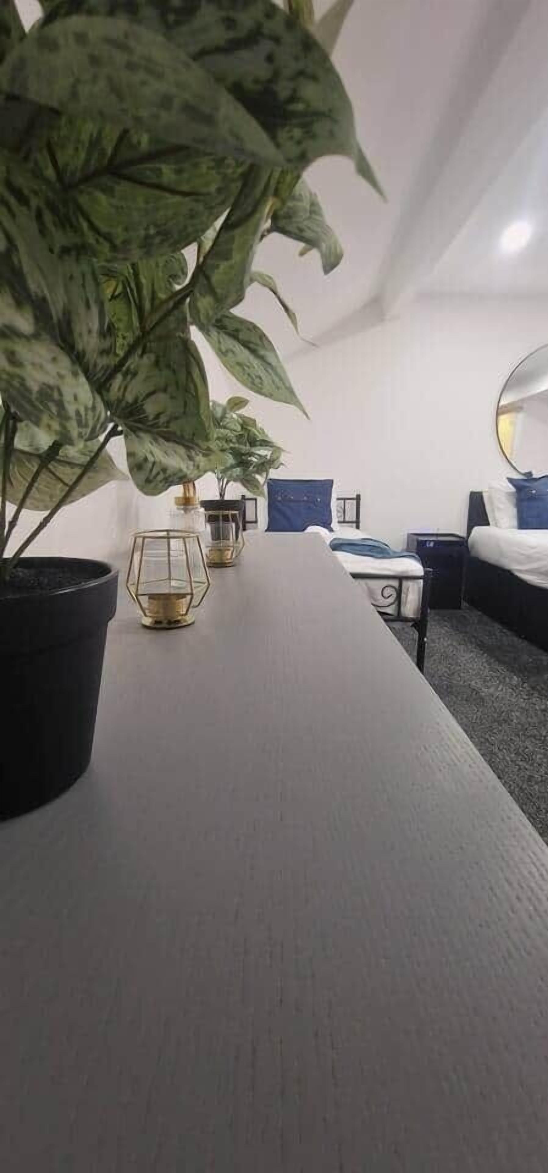 Quarto de hotel com uma mesa comprida, duas plantas em vasos, cafeteira, cama, espelho redondo e piso coberto de carpete.