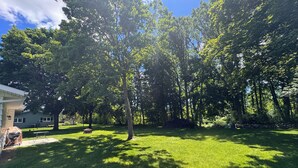 Ein Garten mit Rasen, einem Grill, einem Picknicktisch und einer Steinmauer.