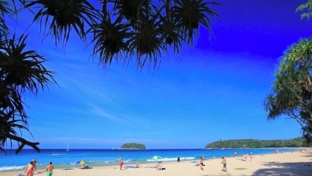 Una playa con palmeras, cielo azul despejado y una isla distante.