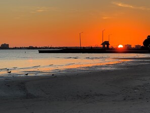 Beach - Old Florida Vibe - St. Pete Bungalow 2-bdrm w/ AC in charming Gulfport (Gulfport)