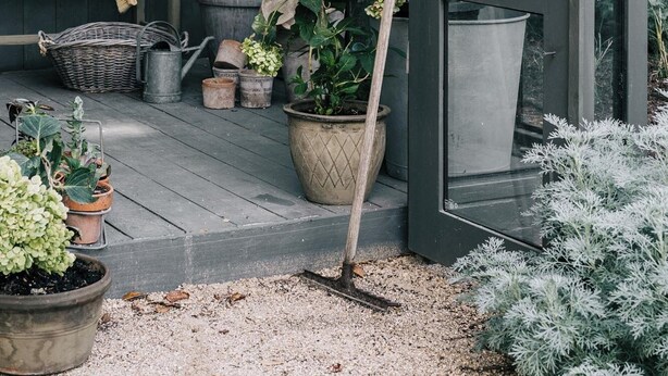 A greenhouse with a wooden bench, potted plants, and a door. - open plan contemporary barn in the heart of Daylesford (Daylesford)