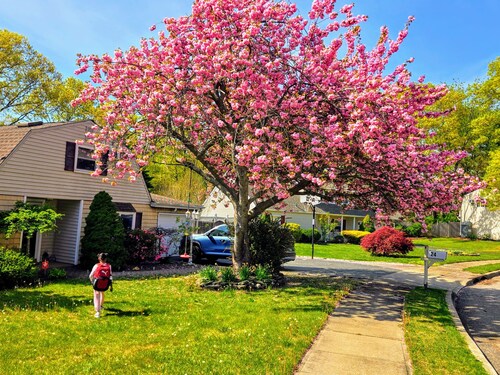 Pool Oasis Big Yard 1 Bedroom + 1 Living room with SofaBed nearby Train to NYC