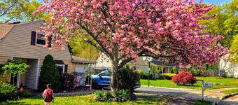 Pool Oasis Big Yard 1 Bedroom + 1 Living room with SofaBed nearby Train to NYC