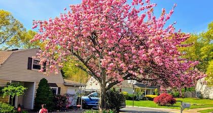 Pool Oasis Big Yard 1 Bedroom + 1 Living room with SofaBed nearby Train to NYC