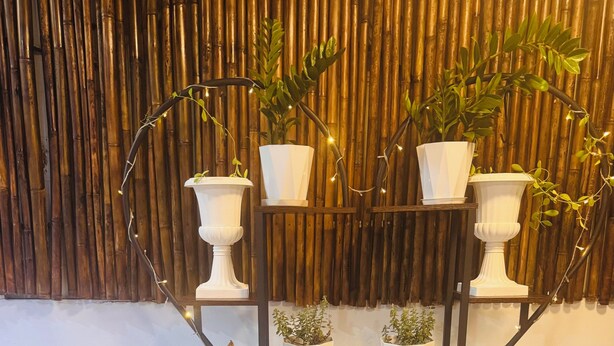 Una exhibición de plantas con varias macetas en estantes frente a un fondo de bambú.