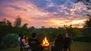 A group of people seated around a campfire in an outdoor setting with trees and vegetation in the background.