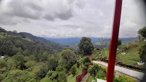 A lush green landscape with a winding road, a large tree, and a red pole in the foreground.