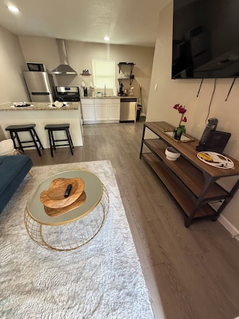 リビング エリア. Cozy 1Bed Studio Near DT- FtSam-UIW-Trinity-PEARL!