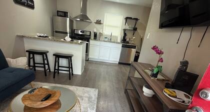 Cozy 1Bed Studio Near DT- FtSam-UIW-Trinity-PEARL!