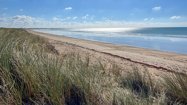 En strand med sand, græs og en klar himmel.