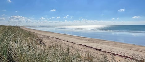 On the beach