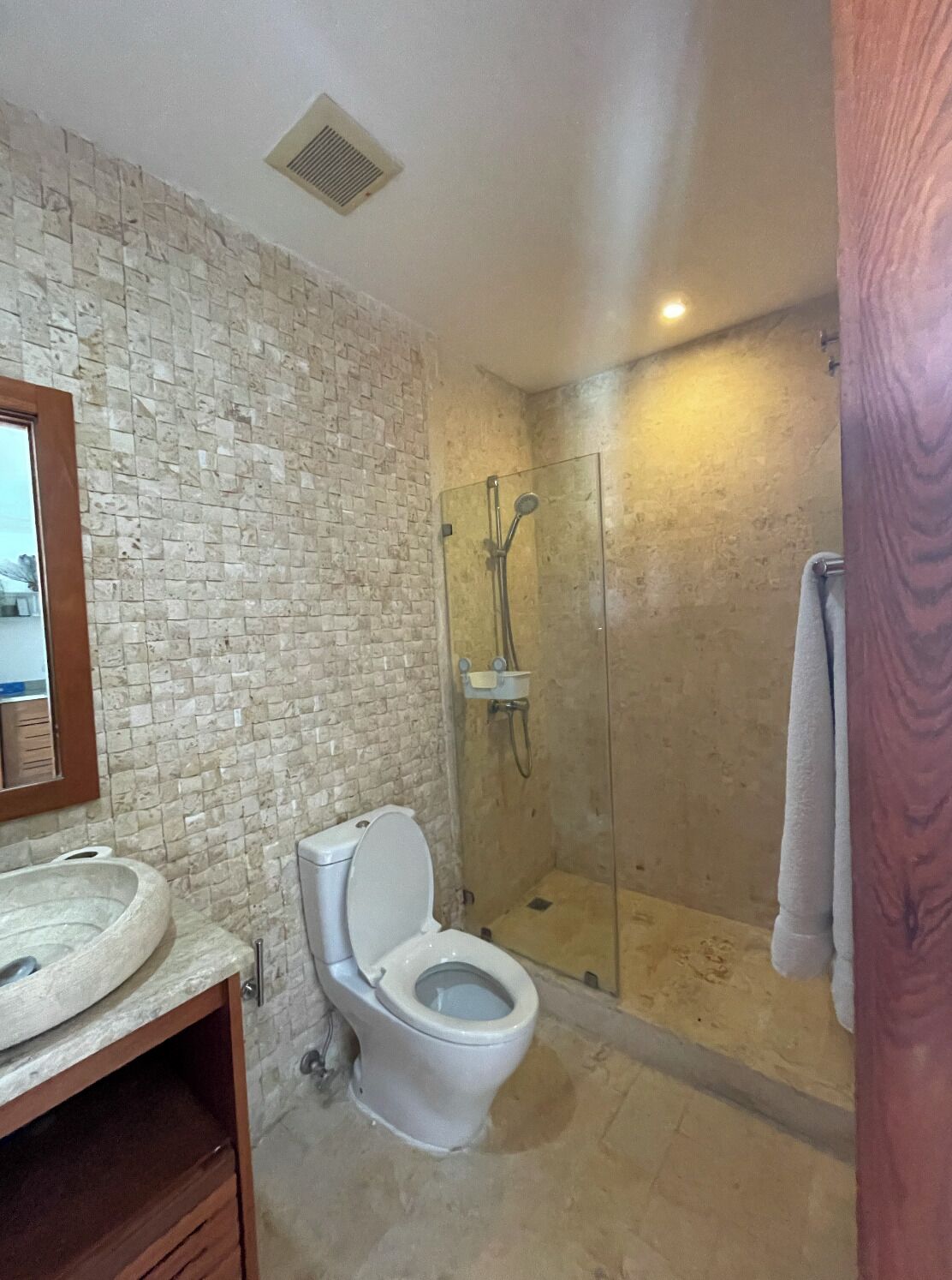 Shower, hair dryer, soap, toilet paper