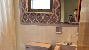 A bathroom with a toilet, sink, and a window above the sink. - NFL Draft-Ready! 3-bedroom house in Pittsburgh (Pittsburgh)