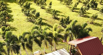 Private Romantic Cabin -Heated pool -Nature Escape