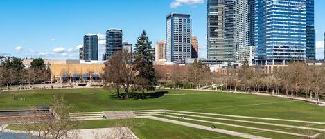A cityscape with modern high-rise buildings, a large open park with pathways, and a body of water in the foreground.