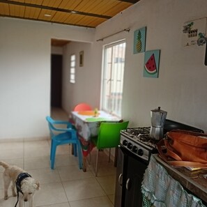 A kitchen with a stove, a table with chairs, and a dog.