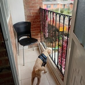 A dog on a balcony with a metal railing, a black chair, and a brick wall.