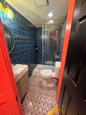 Shower, hair dryer, bidet, towels
