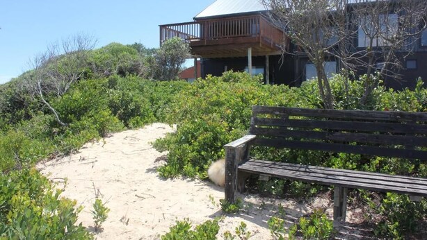 A sandy path leading to a building with a balcony, surrounded by greenery.