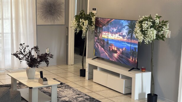 Un soggiorno moderno con una TV a schermo piatto, un mobile bianco per l'intrattenimento, un tavolino da caffè, un tappeto nero e due piante in vaso.