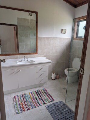 Shower, towels, soap, toilet paper