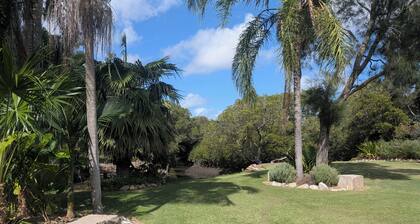 Fisherman's Dream in Port Stephens