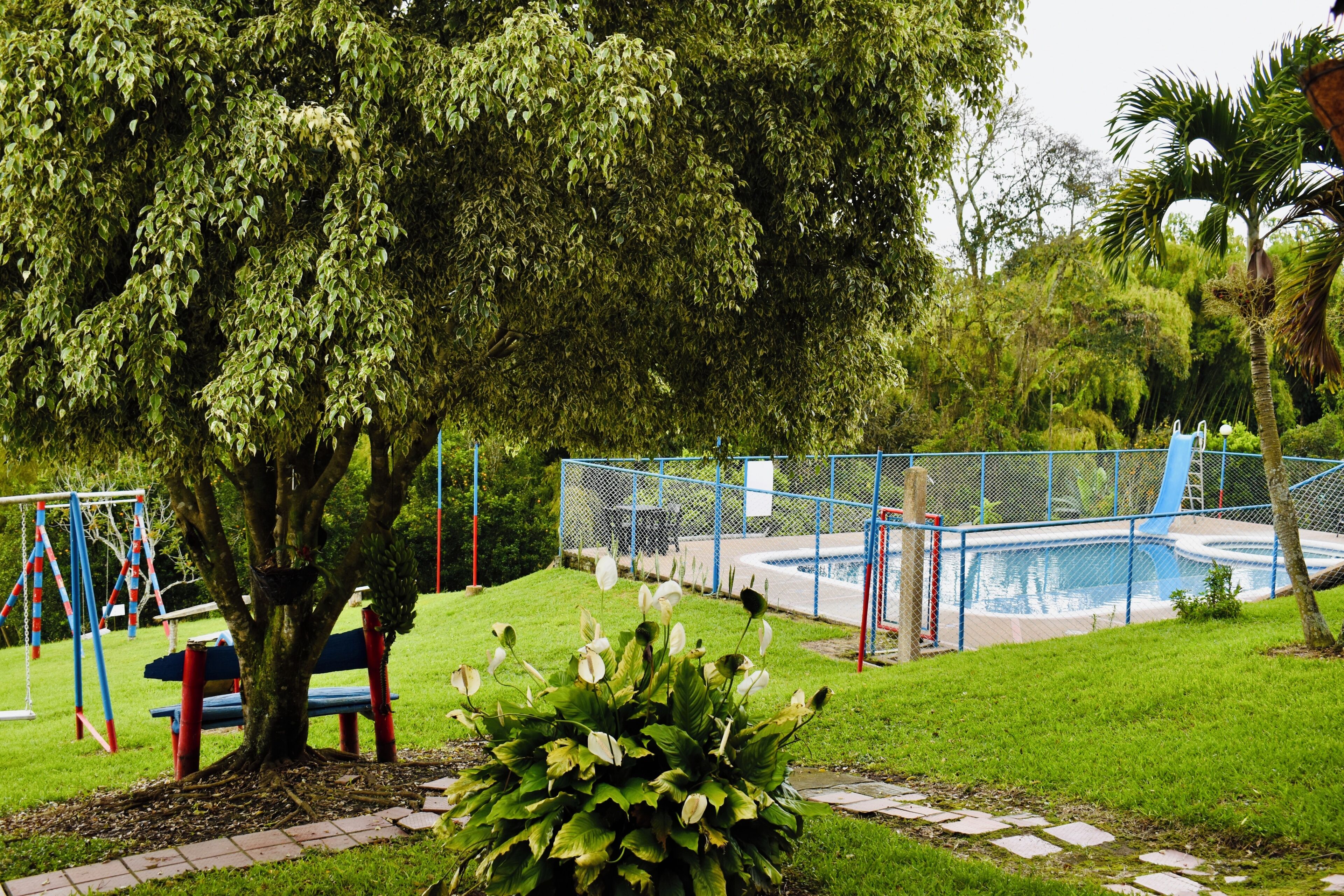 Un parque con un área de juegos, una piscina y un árbol grande.