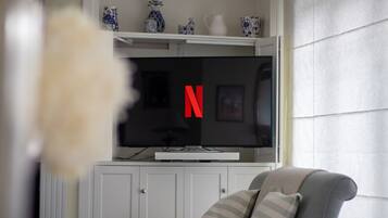 Smart TV, fireplace, books