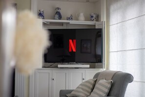 Smart TV, fireplace, books