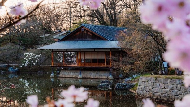 En traditionell japansk byggnad med ett tak täckt av tegelpannor, träväggar och en spegelbild i vattnet.
