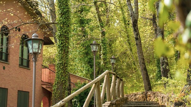 Un escalier en pierre avec une rampe en bois mène à un bâtiment en briques, doté de volets verts et flanqué de deux lampadaires.