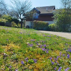 Property grounds - Chambre d'hôtes bachole, separate entrance from chalet, access to kitchen (Charancieu)