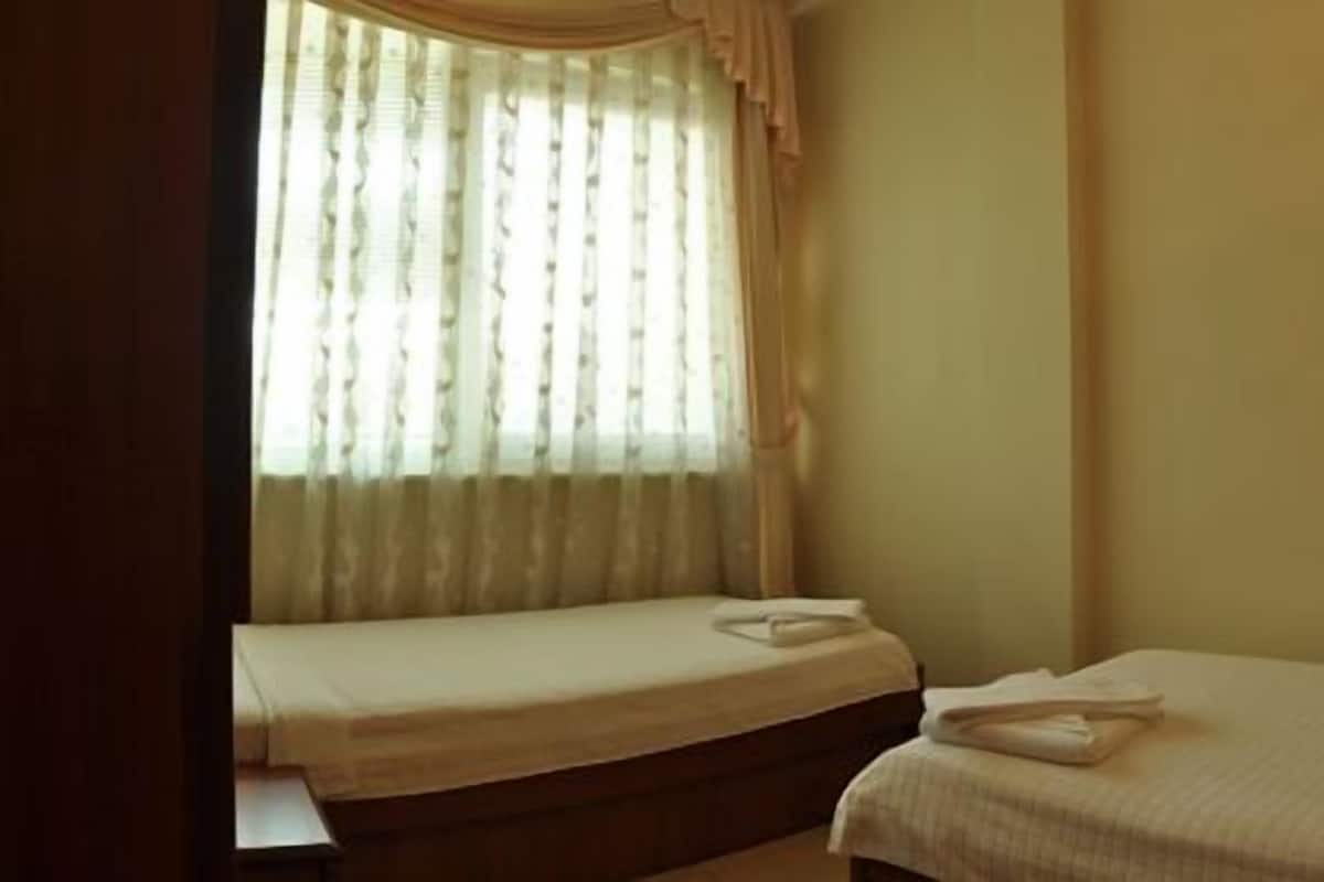 Una habitación con dos camas, una ventana con cortinas, un cuadro colgado en la pared y una mesita de noche.