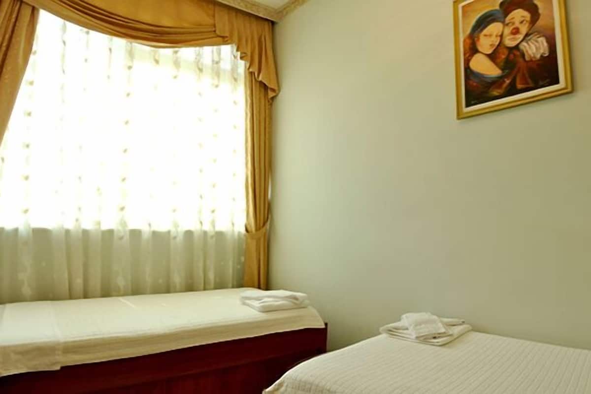 Una habitación con dos camas, una ventana con cortinas, un cuadro en la pared y una cama con una toalla doblada.