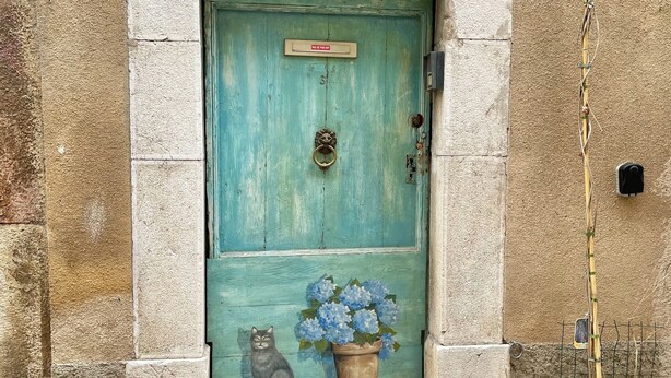 A turquoise door with a number plate, a cat illustration, and a potted plant. - Cosy, charming townhouse in Valbonne Village (old town) (Valbonne)