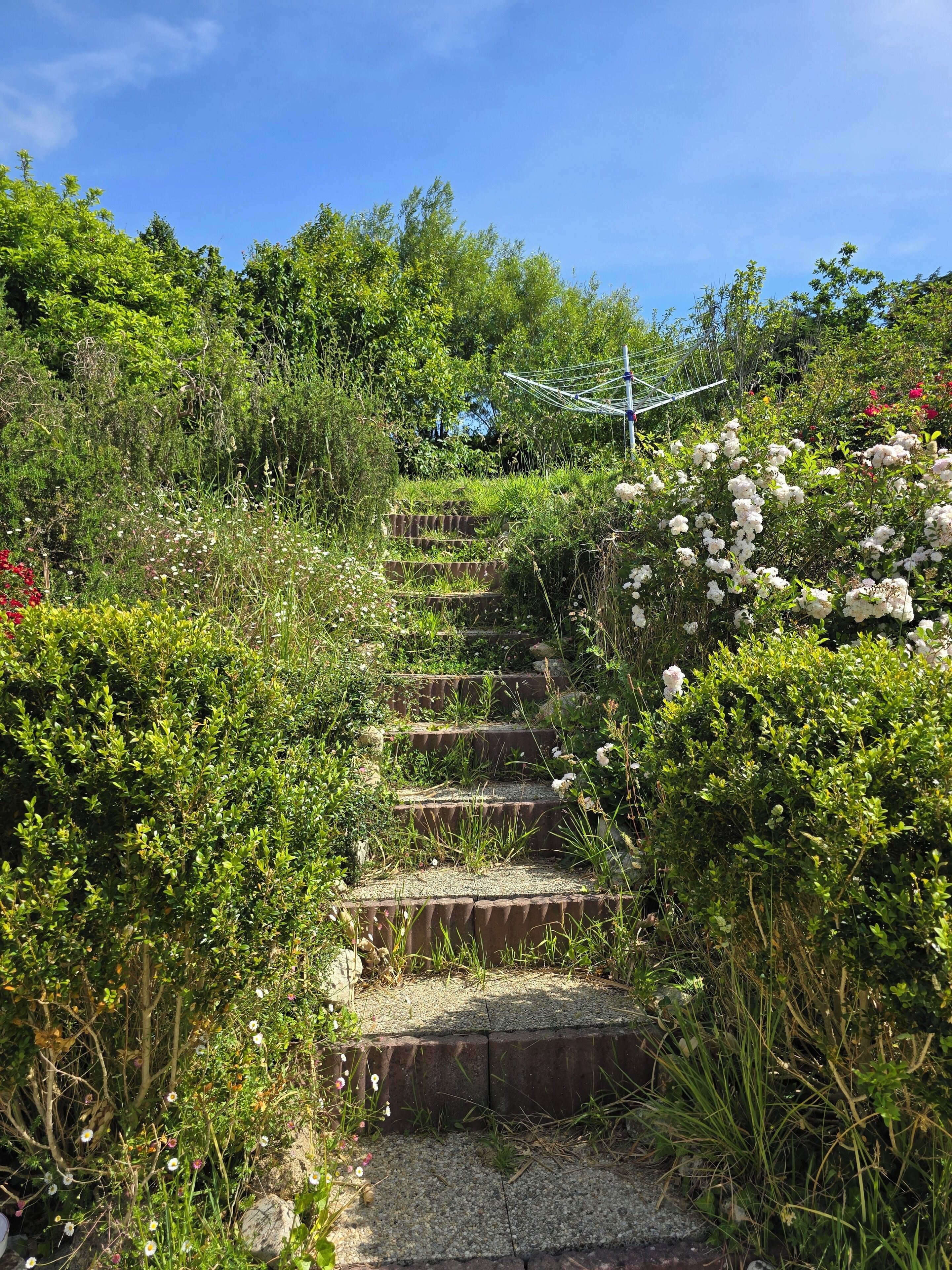 A set of outdoor stone steps leading up a hill, surrounded by dense greenery and flowering plants.