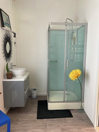 シャワー、ヘアドライヤー、タオル、石鹸. Bedroom and bathroom
