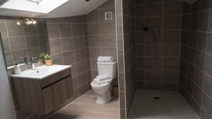 Ein modernes Badezimmer mit Dachfenster, Dusche und Toilette.