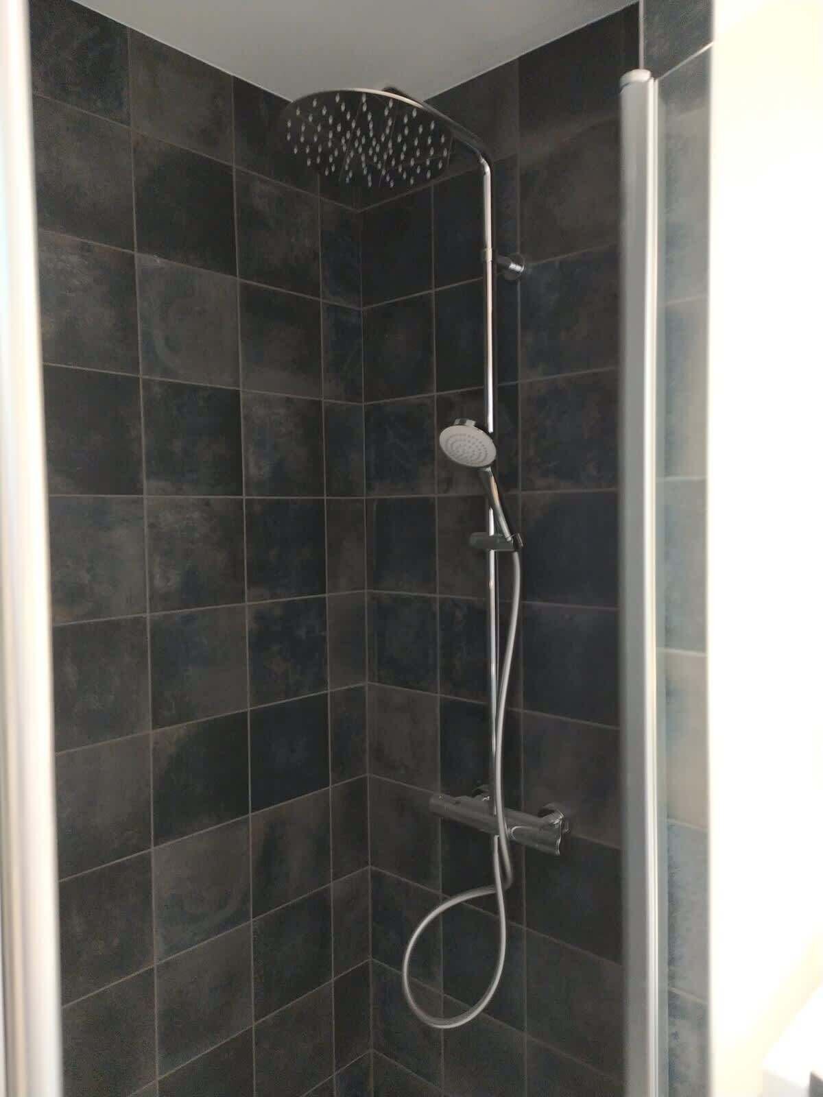 Ducha, secador de pelo y champú