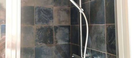 Shower, hair dryer, shampoo